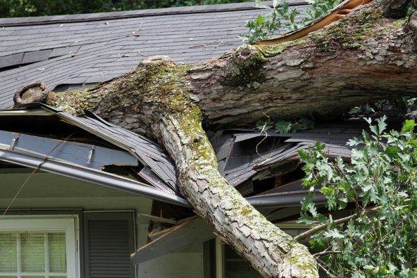 Storm Remediation in Denver