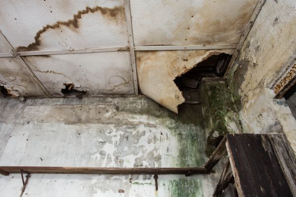 Water Damage Service in Denver