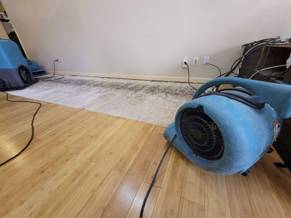 Water Damage Mitigation in Denver