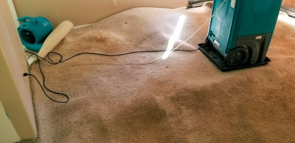 Flood Damage Cleanup in Denver