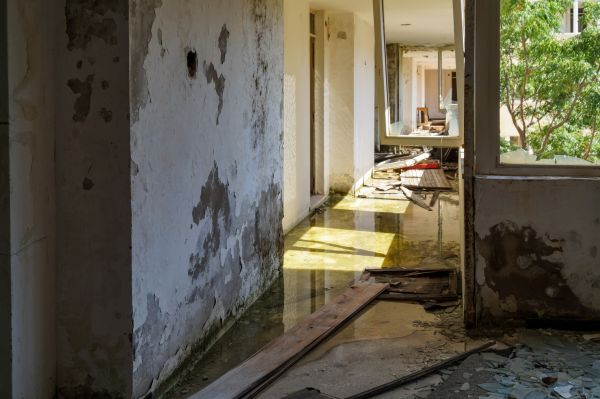 Water Removal Service in Denver
