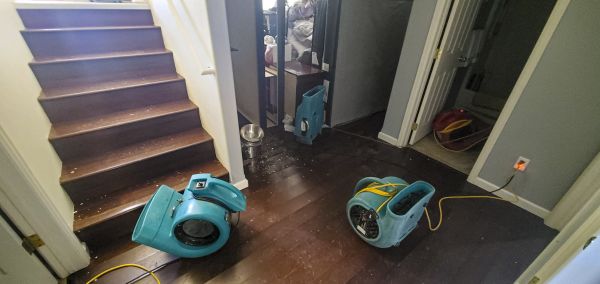 Water Damage Remediation in Denver