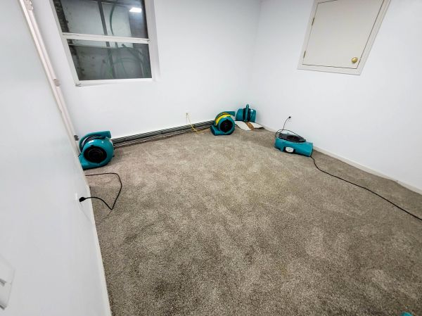 Flood Restoration Service in Denver