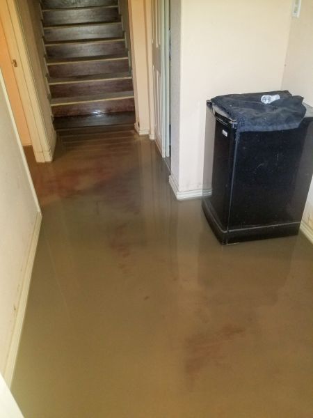 Emergency Water Removal in Denver