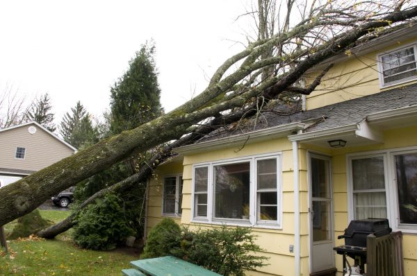 Hurricane Damage Repair in Denver
